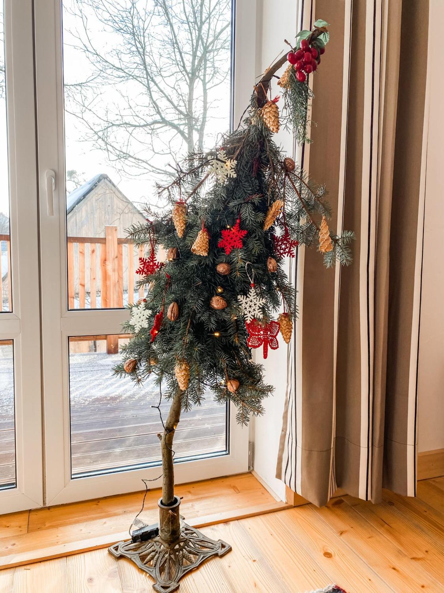 Apartment 401 Mury Istebna